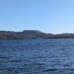 PXL_20250401_165616591.MP