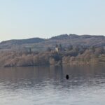 PXL_20250402_070134684