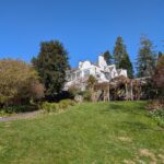 PXL_20250402_115340349